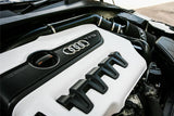 Ramair Performance Foam Air Filter & Heat Shield Induction Kit – Audi TTS TFSI